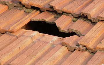 roof repair Aberhosan, Powys