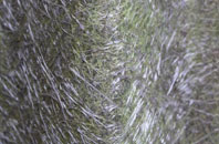 Aberhosan fibreglass roof work